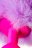 Розовая анальная втулка Sweet bunny с сиреневым пушистым хвостиком 